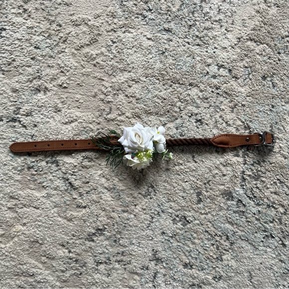 Leather & Rope Dog Collar with Flowers and Leash - Wedding Engagement Photoshoot - Picture 3 of 6